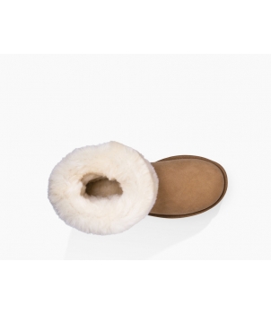 Classic II Short Chestnut 1016223
